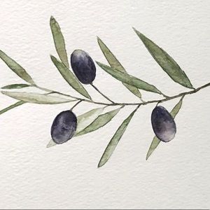 Meet your Posher, Olive